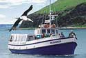 Monnarch Wildlife Cruises