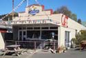 Penguin Café