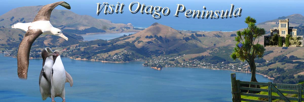Logo Otago Peninsula