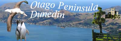 Logo Otago Peninsula